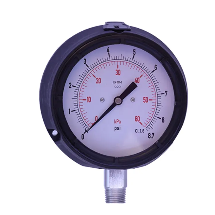 Capsule Pressure Gauges: Precision Measurement for Low-Pressure Applications